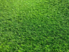 Grid Lime Green PP Bag 2m*25m Flooring Carpet Football 50mm