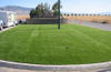 Hebei 2023 Wholesale High Quality Grass Roll 40mm Turf 15mm Artificial Grass Carpet