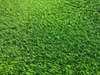 5-8 Years Lime Green PP Bag 2m*25m Artificial Turf Grass
