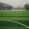 for Sport Lime Green Lw PP Bag Artificial Grass Carpet Landscaping