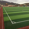 China Long Lw PP Bag 2m*25m Synthetic Turf Grass 50mm