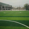 PE PP Lw Bag 2m*25m China Synthetic Grass Football 50mm