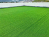 China PP Bag 2m*25m Lawn Turf Football Garden Artificial Grass 50mm