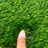 New 50mm Without Sand PP Bag 2m*25m Artificial Carpet Turf Synthetic Grass