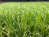 Straight Cut Long Lw PP Bag 2m*25m Garden Grass Football