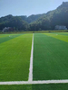 Arc Type for Landscaping Lw PP Bag Artificial Grass Football