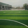 Monofilament Without Sand Lw PP Bag 2m*25m Green Carpet Landscaping Grass