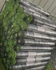 Medium Flat Type Lw Plastic Woven Bags Green Carpet Artificial Turf